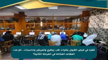 قفزة في فرص القبول بكليات طب بيطري وتمريض وحاسبات.. كم عدد المقاعد المتاحة في المرحلة الثانية؟